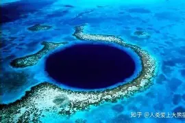 重磅：郑钦文即将开启常规赛调的简单介绍